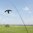 Динамический отпугиватель птиц SITITEK Хищник с флагштоком 4,5 м (комплект) фотографии